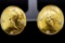 SeidenGang 0.50ctw Diamond and 18K Yellow Gold Earrings