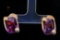 Pomellato 10.00ctw Amethyst, Diamond 18K Ear Clips