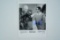Steve Martin, Eddie Murphy 