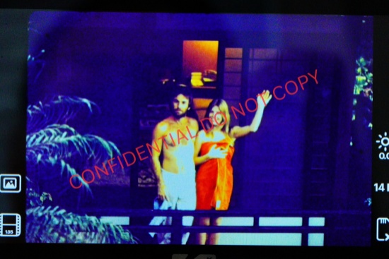 Dennis Wilson W/Lover 1975 Photo Negative