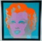 Andy Warhol (After) 