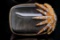 Cristina Sabatini Obsidian, Resin and Gold Plated Ring