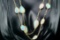 170.00ctw Opal and 14K Yellow Gold 36