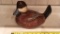 Big sky carvers Ruddy duck