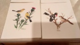 set of six song bird prints