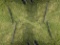 EURO DOUBLE HAY SPEAR