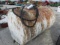 Fuel Barrel