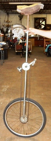 Schwinn Unicycle