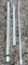 (3) Surveying Leveling Rods