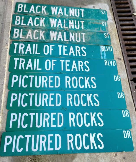 (9) Reflective Street Signs - 36" x 6"
