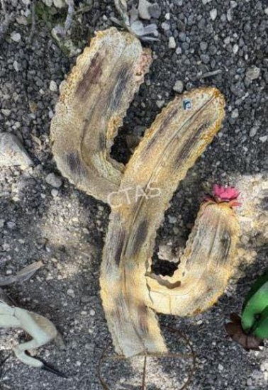 Metal Art - Tan Cactus