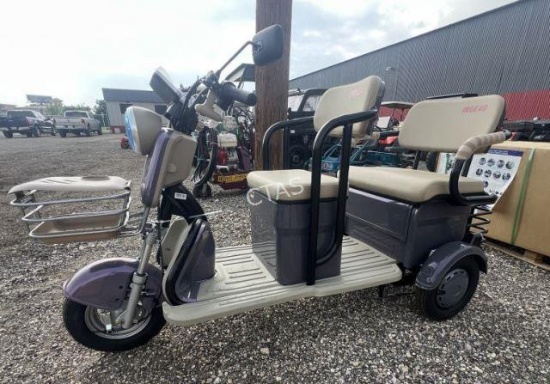 IRG40 3-Wheel Mini Golf Cart Trike - NIB