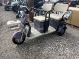 IRG40 3-Wheel Mini Golf Cart Trike - NIB