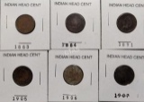 (6) Indian Head Cents