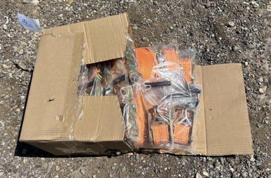 Ratchet Straps, 500 lbs, 8 pcs