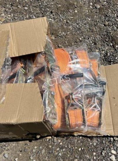 Ratchet Straps, 500 lbs, 8 pcs