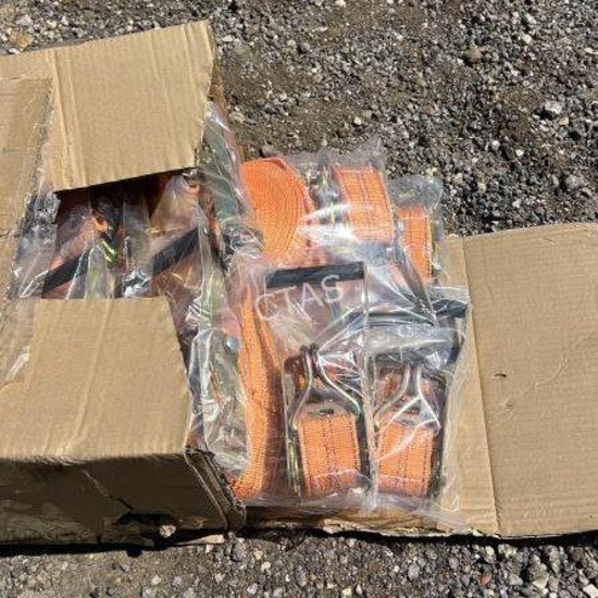 Ratchet Straps, 500 lbs, 8 pcs