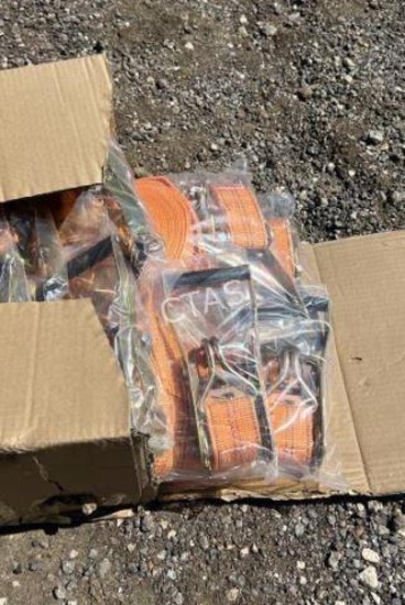 Ratchet Straps, 500 lbs, 8 pcs