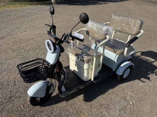 Mini Electric Golf Cart Trike - SD Lanch MGC40