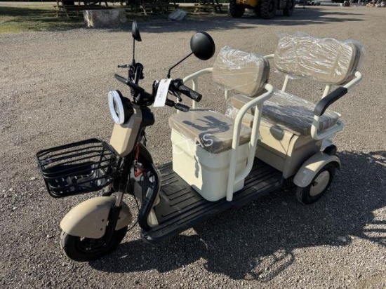 Mini Electric Golf Cart Trike - SD Lanch MGC40
