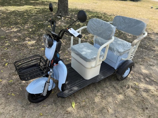 Mini Electric Golf Cart Trike - SD Lanch MGC40
