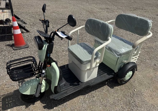 Mini Electric Golf Cart Trike - SD Lanch MGC40