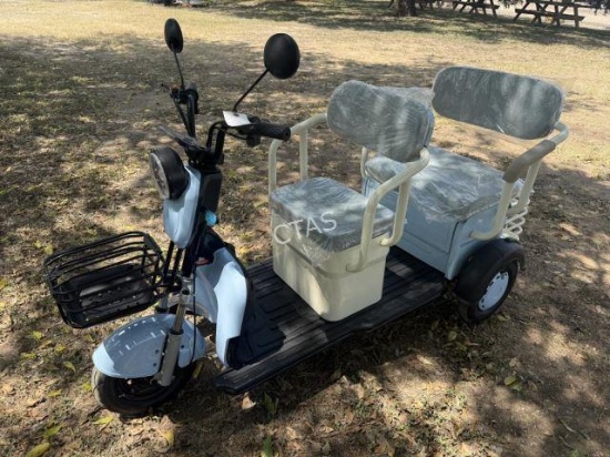 Mini Electric Golf Cart Trike - SD Lanch MGC40