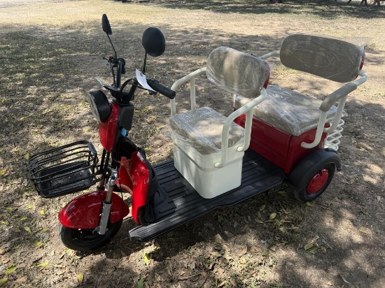 Mini Electric Golf Cart Trike - SD Lanch MGC40