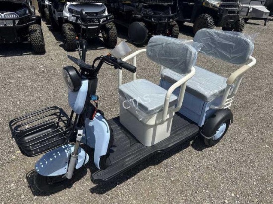 Mini Electric Golf Cart Trike