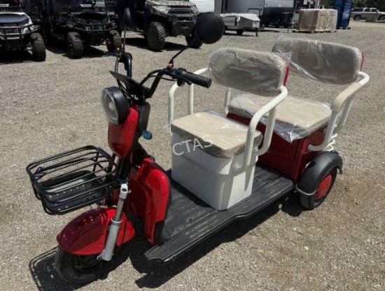 Mini Electric Golf Cart Trike - SD Lanch MGC40