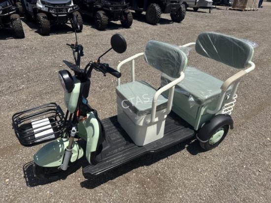 Mini Electric Golf Cart Trike - SD Lanch MGC40