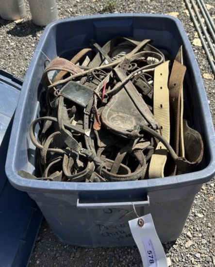 Bundle of Horse Tack w/Tote