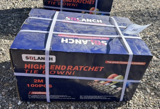 SDLANCH High End Ratchet Tie Down 2M 100 Pcs