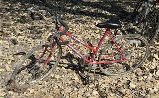 Scorcher Road Master Bike