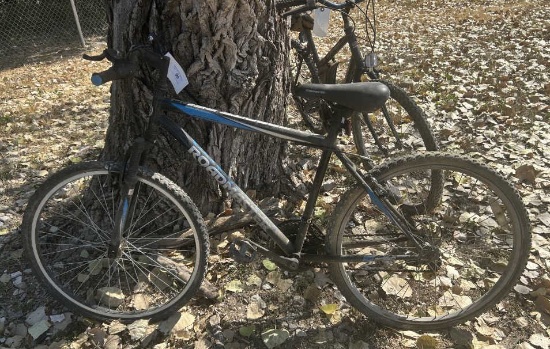 Granite Peak Roadmaster Bike