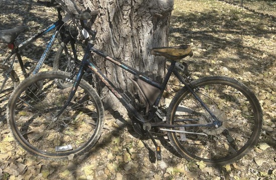 Huffy USA America Bike