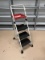 C- Cosco Three Step Ladder