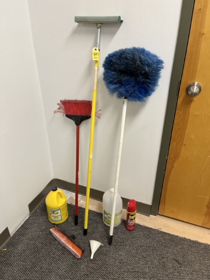 Assorted Cleaning Products