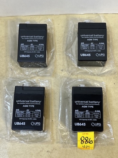 Universal Battery AGM Type 6V