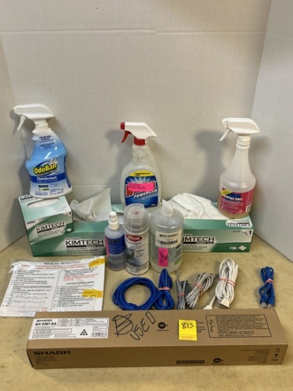 Assorted Cleaning Supplies