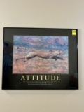 Attitude Framed Print