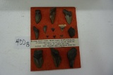 8 Large FossilShark Teeth from South Carolina Dig, 125-140 Million Years Old