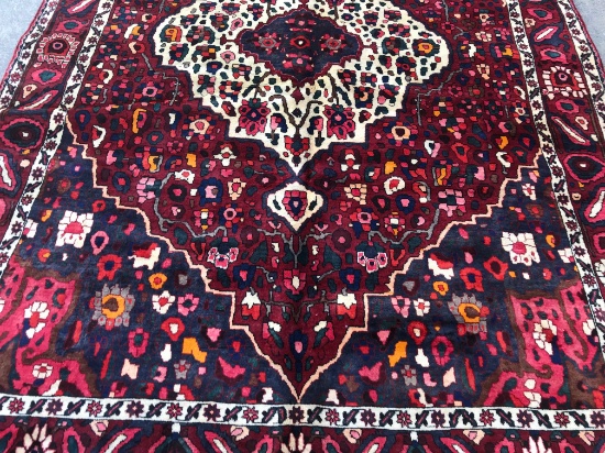 7'x10' Hand Knotted Persian TRIBAL BAKHTIARI Rug, Hand Tied Carpet, Retail $5400, Shipping $45