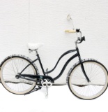 Tropical Schwinn Bicycle
