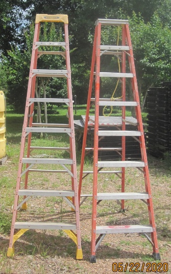 2 12' Ladders