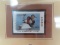 1996-1997 Arizona Canvasback Waterfowl Stamp, Un-Used, $5.50 Issue Price. very collectible