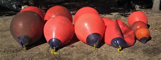 11 Taylor buoys