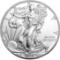 TWO (2) One Ounce American Silver Eagle Coins, .999 Fine Silver, Dates Our Choice, both one money