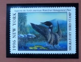 1996 New York Common Loon Migratory Bird Stamp in display