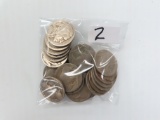 Twenty-Four (24) Dateless Buffalo Nickels